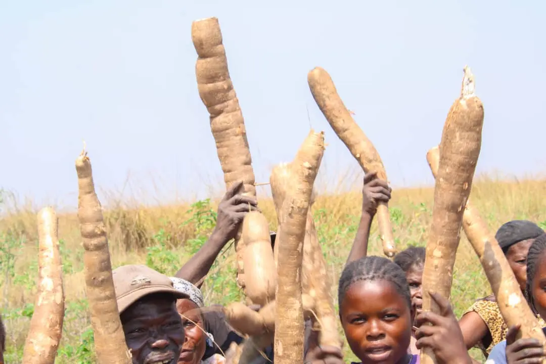 Image d'emprunt: Au coeur de la RDC, agriculture avec les projets BAD